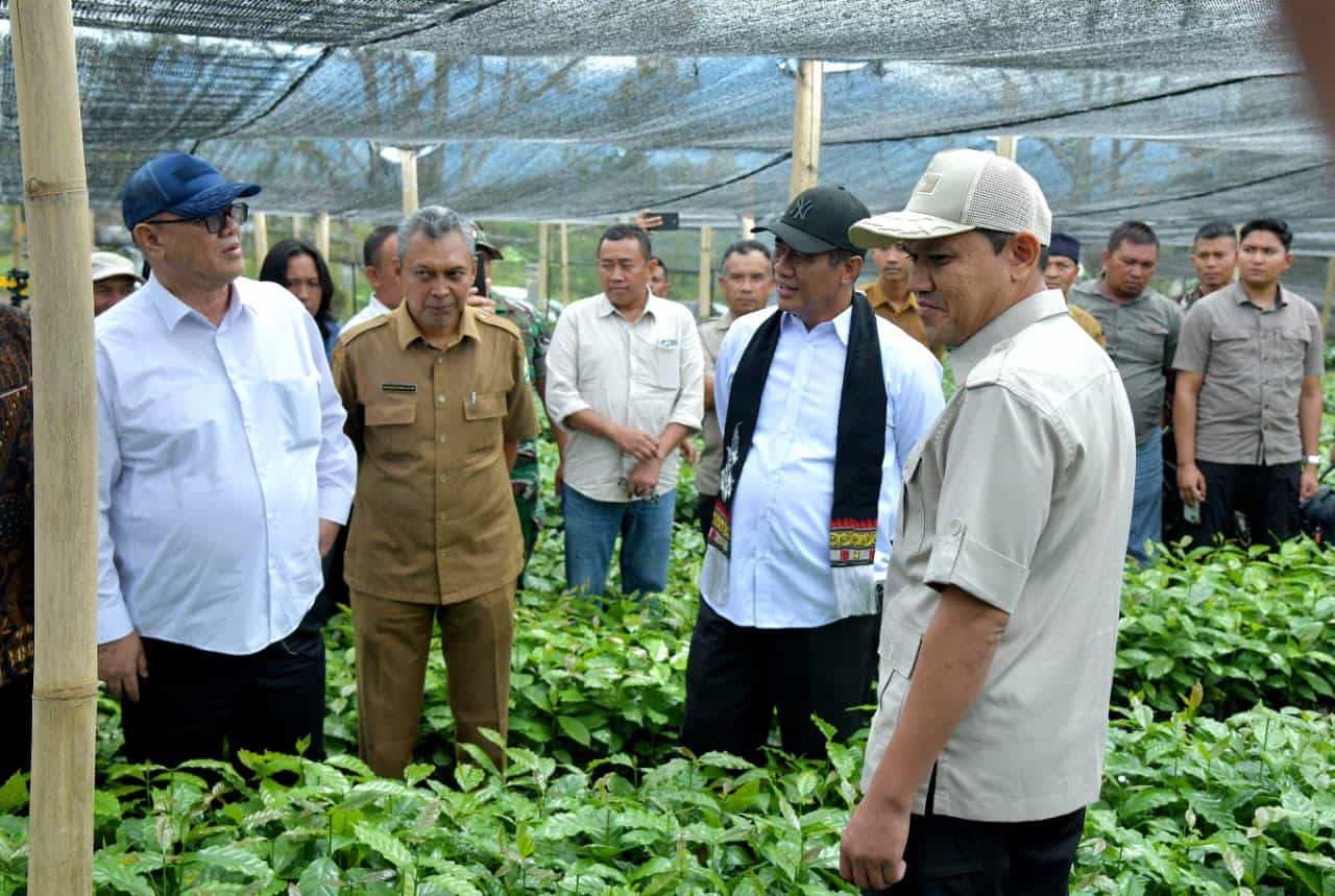 Tinjau Pembibitan Kopi Gayo, Mentan Amran Apresiasi Kinerja Pemerintah Aceh dan Janjikan Dukungan Penuh